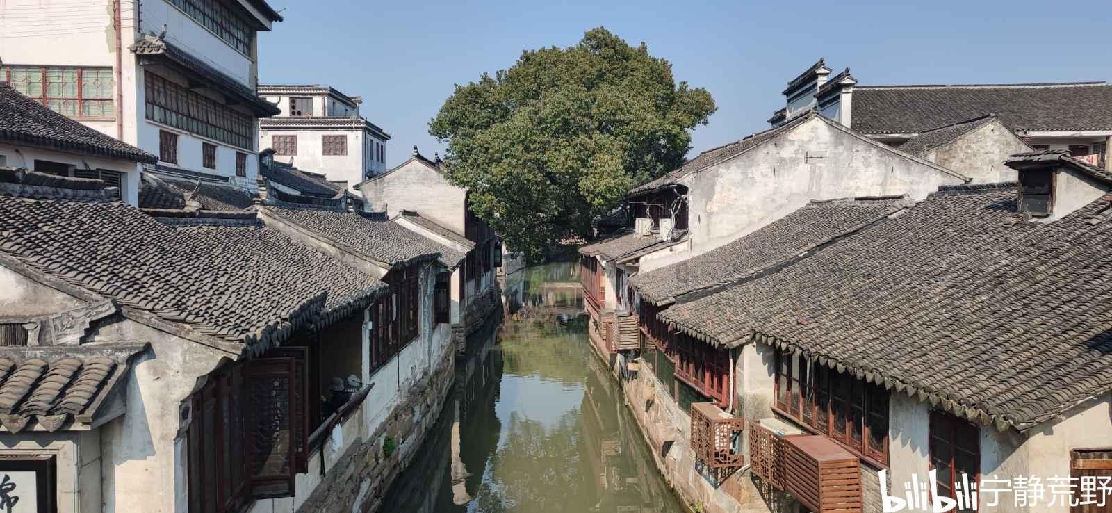 救援大胡子斗士